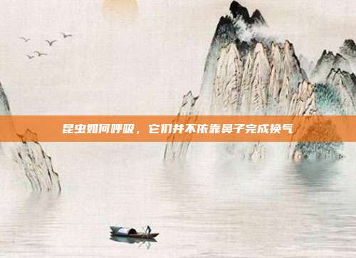 昆虫如何呼吸，它们并不依靠鼻子完成换气