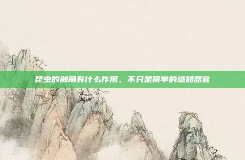 昆虫的触角有什么作用,不只是简单的感知器官