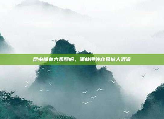 昆虫都有六条腿吗,哪些例外容易被人混淆