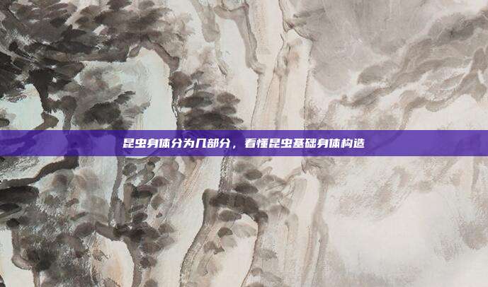 昆虫身体分为几部分,看懂昆虫基础身体构造