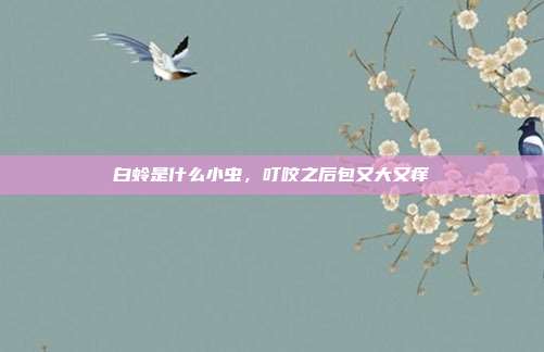 白蛉是什么小虫,叮咬之后包又大又痒