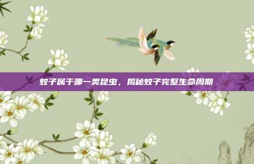 蚊子属于哪一类昆虫，揭秘蚊子完整生命周期