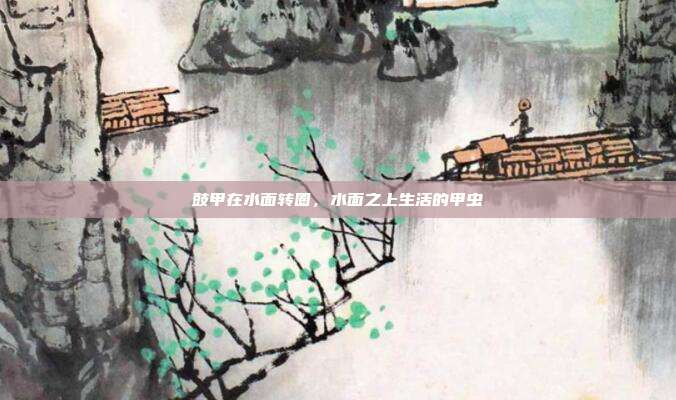 豉甲在水面转圈,水面之上生活的甲虫
