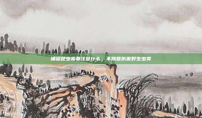 捕捉昆虫需要注意什么,不随意伤害野生虫类