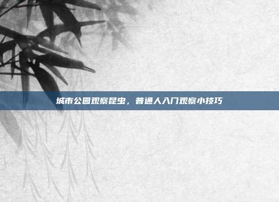 城市公园观察昆虫,普通人入门观察小技巧