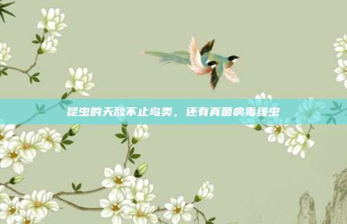 昆虫的天敌不止鸟类,还有真菌病毒线虫