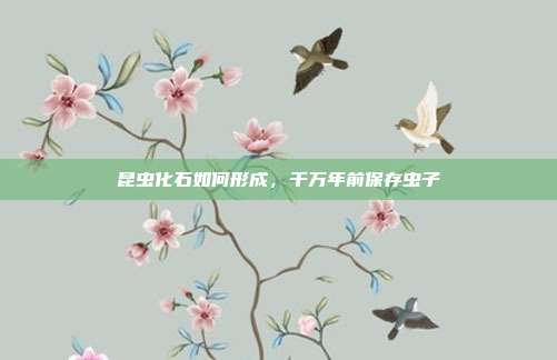 昆虫化石如何形成,千万年前保存虫子