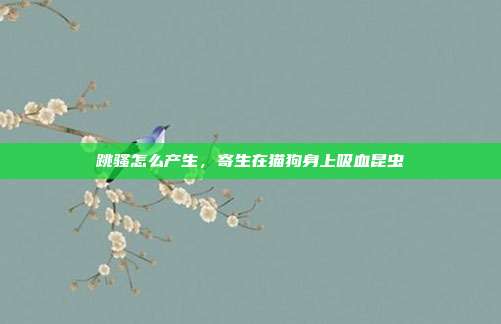 跳骚怎么产生,寄生在猫狗身上吸血昆虫