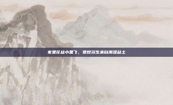 家里花盆小黑飞,蕈蚊滋生来自潮湿盆土