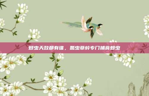 蚜虫天敌都有谁,瓢虫草蛉专门捕食蚜虫