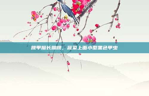 跳甲擅长蹦跳,蔬菜上面小型黑色甲虫