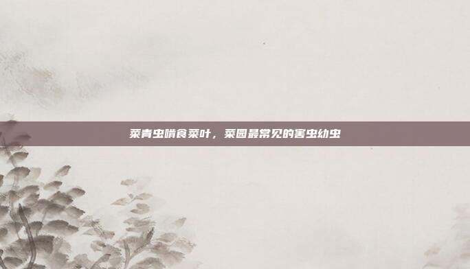 菜青虫啃食菜叶,菜园最常见的害虫幼虫