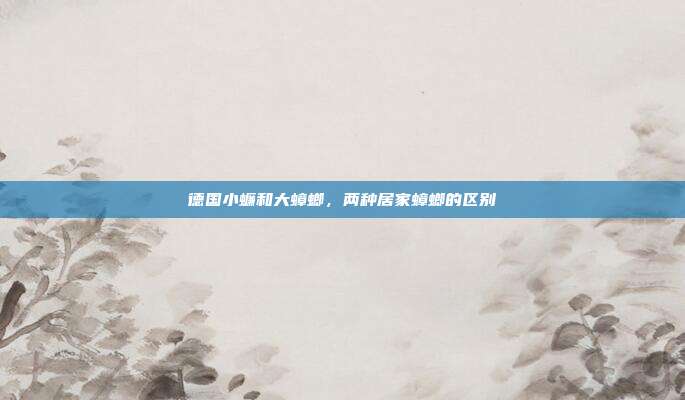 德国小蠊和大蟑螂,两种居家蟑螂的区别