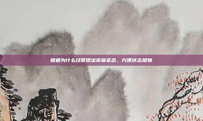 螳螂为什么经常摆出祈祷姿态,方便伏击猎物
