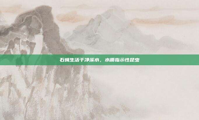 石蝇生活干净溪水,水质指示性昆虫