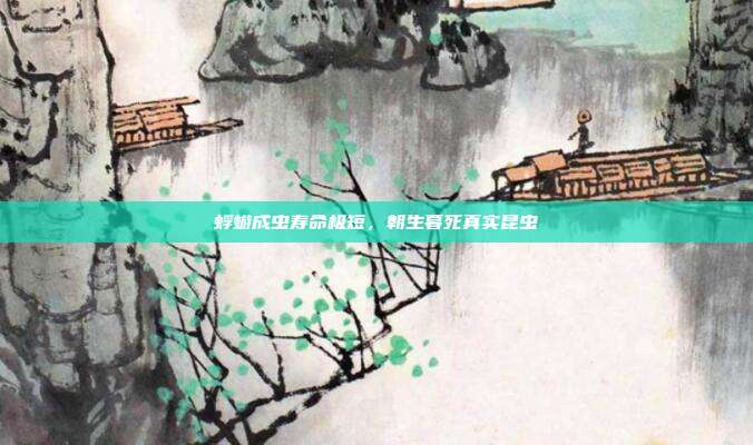 蜉蝣成虫寿命极短,朝生暮死真实昆虫