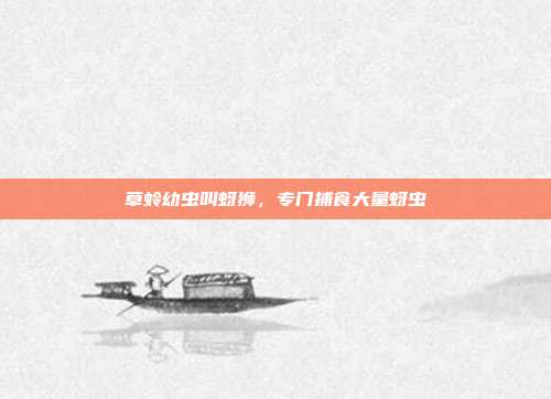 草蛉幼虫叫蚜狮,专门捕食大量蚜虫