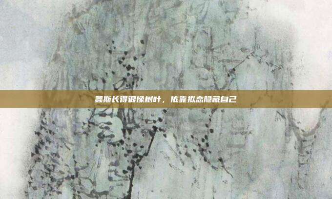 螽斯长得很像树叶，依靠拟态隐藏自己