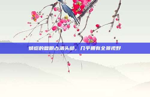 蜻蜓的复眼占满头部，几乎拥有全景视野