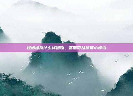 螳螂捕食什么样猎物,甚至可以捕捉小蜂鸟