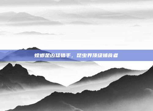螳螂是凶猛猎手,昆虫界顶级捕食者