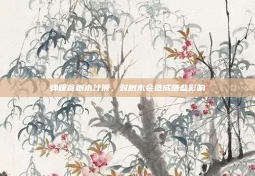 蝉吸食树木汁液,对树木会造成哪些影响