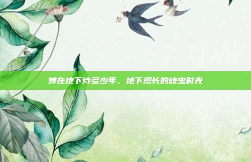 蝉在地下待多少年，地下漫长的幼虫时光