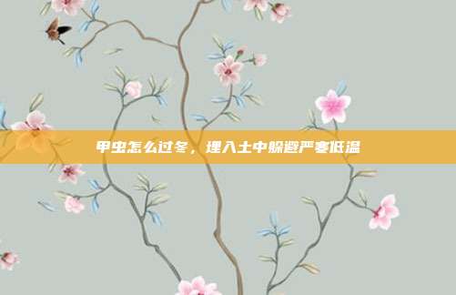 甲虫怎么过冬,埋入土中躲避严寒低温