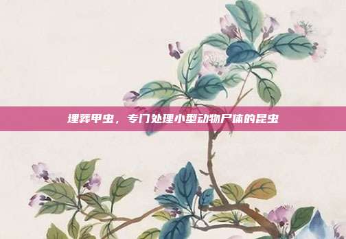 埋葬甲虫,专门处理小型动物尸体的昆虫