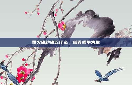 萤火虫幼虫吃什么，捕食蜗牛为生