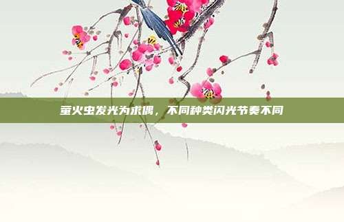 萤火虫发光为求偶，不同种类闪光节奏不同