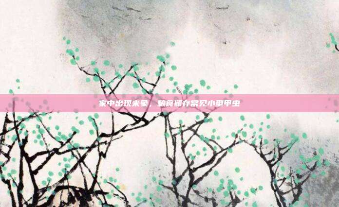 家中出现米象，粮食储存常见小型甲虫