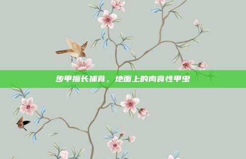 步甲擅长捕食,地面上的肉食性甲虫
