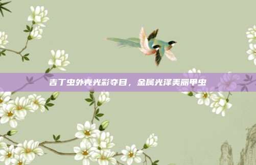 吉丁虫外壳光彩夺目,金属光泽美丽甲虫