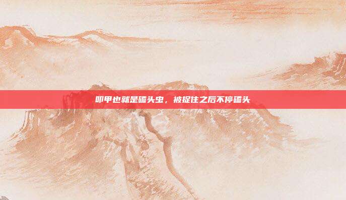叩甲也就是磕头虫，被捉住之后不停磕头