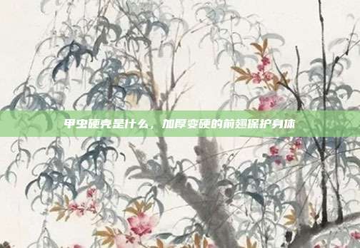 甲虫硬壳是什么，加厚变硬的前翅保护身体