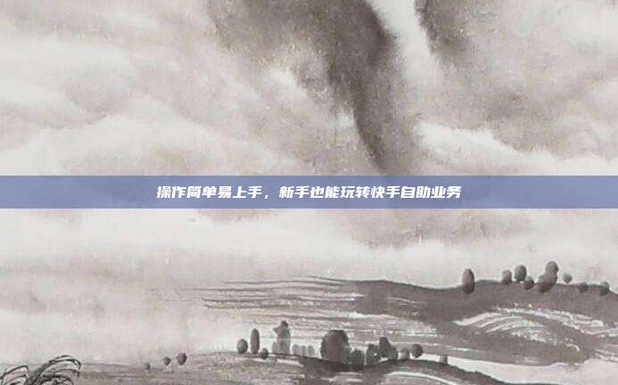 操作简单易上手,新手也能玩转快手自助业务