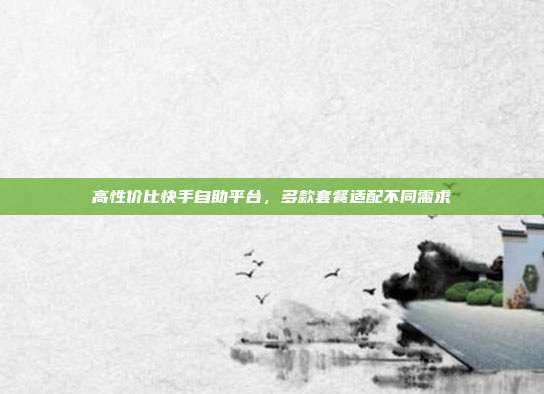高性价比快手自助平台,多款套餐适配不同需求