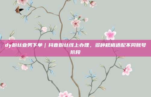 dy粉丝业务下单|抖音粉丝线上办理,多种规格适配不同账号阶段