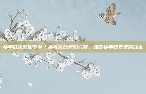 快手低价涨粉下单|高性价比涨粉方案,降低快手账号运营成本