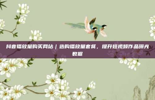 抖音播放量购买网站｜选购播放量套餐，提升短视频作品曝光数据