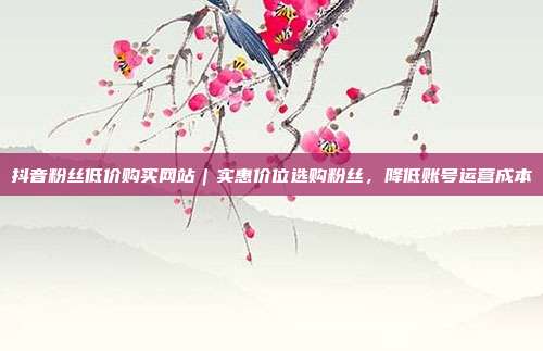 抖音粉丝低价购买网站|实惠价位选购粉丝,降低账号运营成本