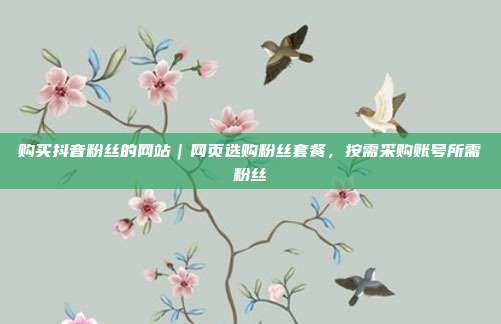 购买抖音粉丝的网站|网页选购粉丝套餐,按需采购账号所需粉丝