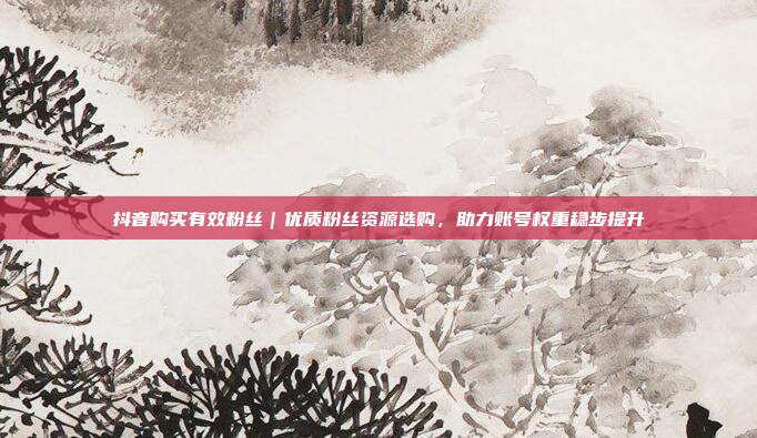 抖音购买有效粉丝|优质粉丝资源选购,助力账号权重稳步提升