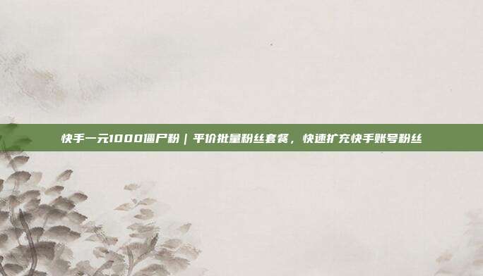 快手一元1000僵尸粉|平价批量粉丝套餐,快速扩充快手账号粉丝