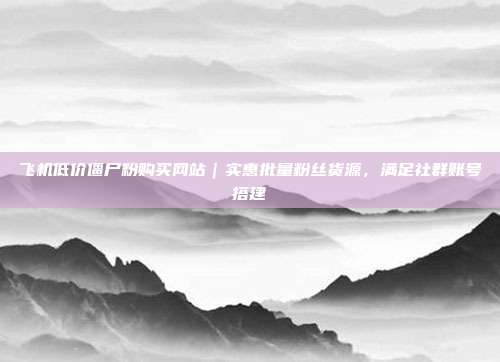 飞机低价僵尸粉购买网站|实惠批量粉丝货源,满足社群账号搭建