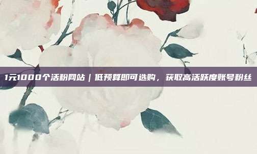 1元1000个活粉网站｜低预算即可选购，获取高活跃度账号粉丝