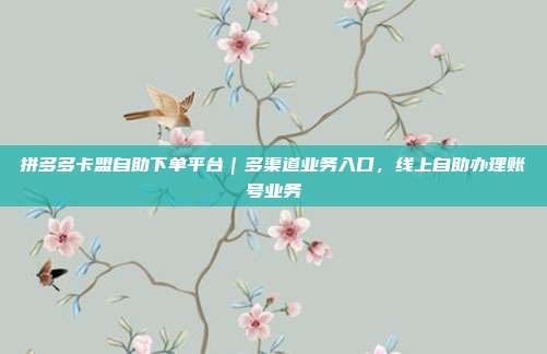 拼多多卡盟自助下单平台｜多渠道业务入口，线上自助办理账号业务