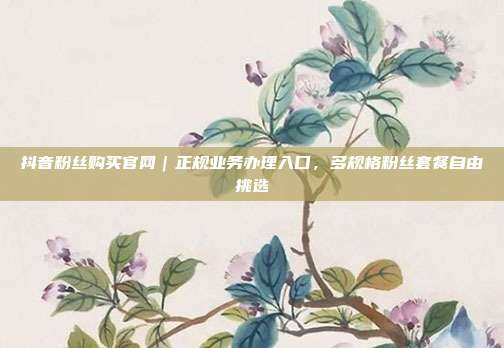 抖音粉丝购买官网|正规业务办理入口,多规格粉丝套餐自由挑选