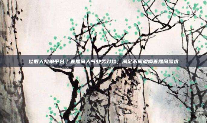 挂假人接单平台|直播间人气业务对接,满足不同规模直播间需求
